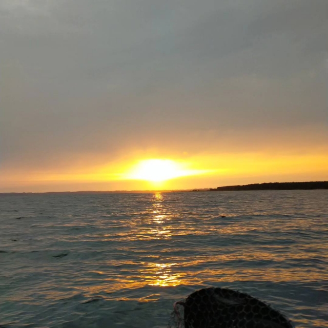  Ten una vista privilegiada del lago