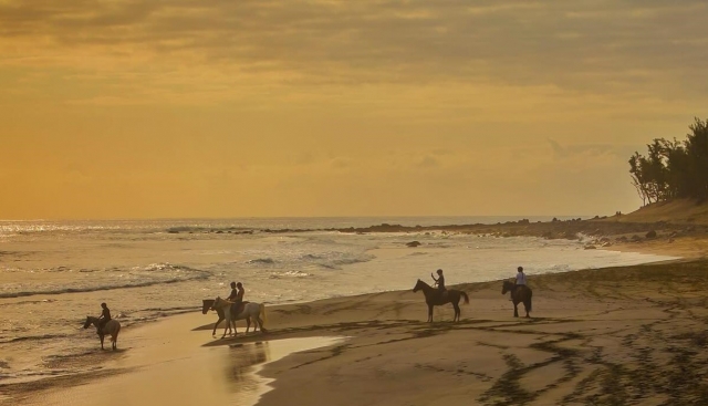 Una vista magnífica de las olas del océano 
