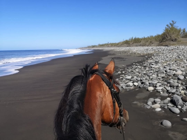  Pbaños a caballo en las playas de Reunión 