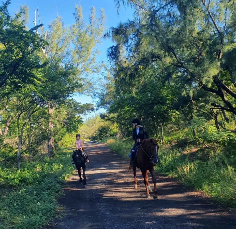  Explora la naturaleza salvaje y tropical 