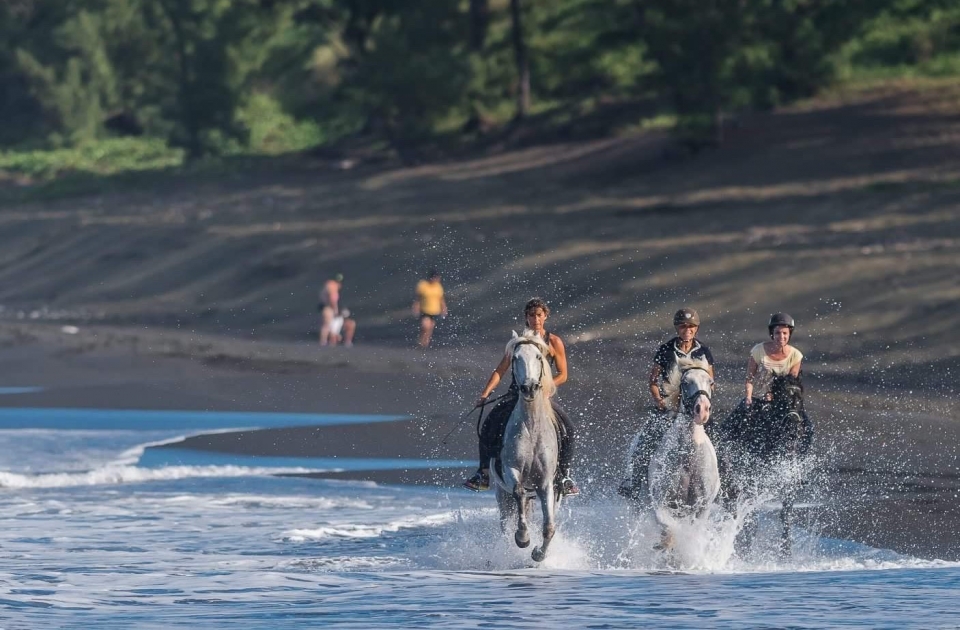  ¡Visita Reunión a caballo! 