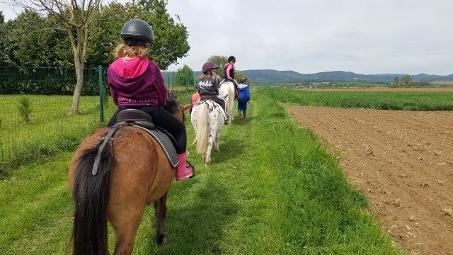  De vuelta al centro ecuestre 
