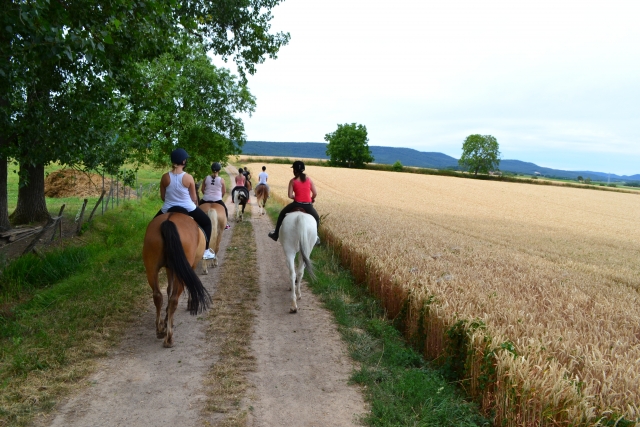  Pbaños a caballo en el corazón de Alsacia 