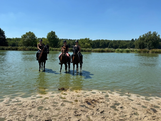 Disfrute de actividades ecuestres en la naturaleza alsaciana 