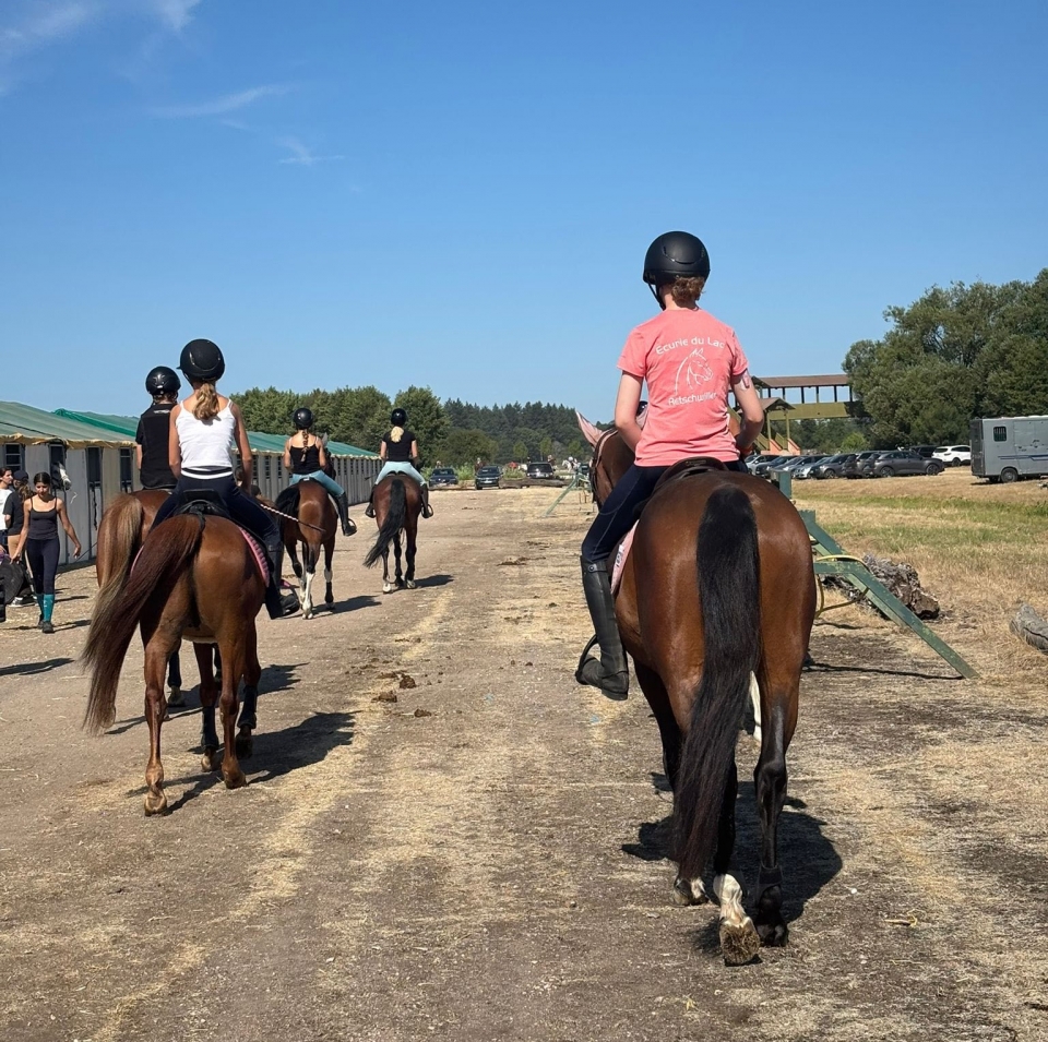  De vuelta al centro ecuestre 
