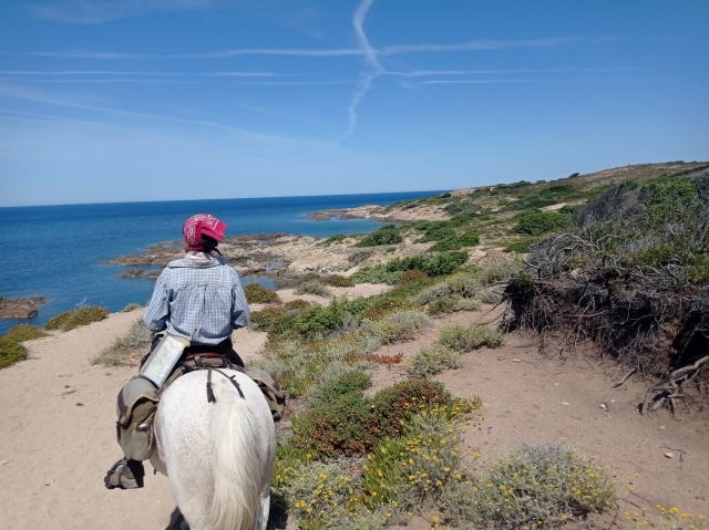  Una camicrema por la naturaleza en medio de la isla 