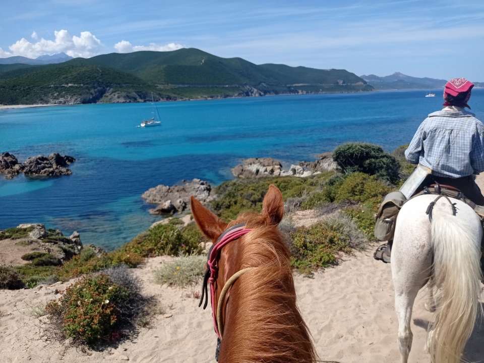Reservación su paseo a caballo en Corte 