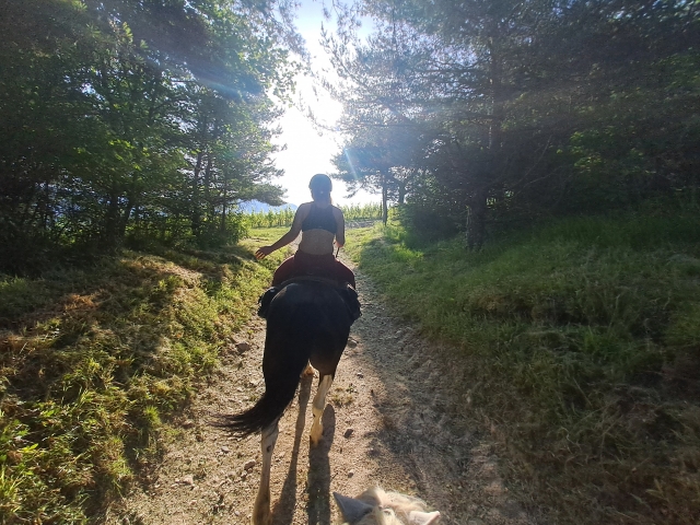 Pbaños a caballo por los viñedos de Saboya 