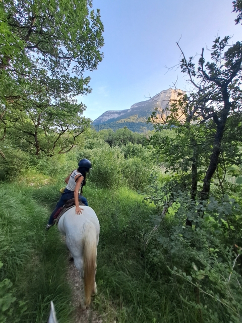  Viaja Saboya a caballo 