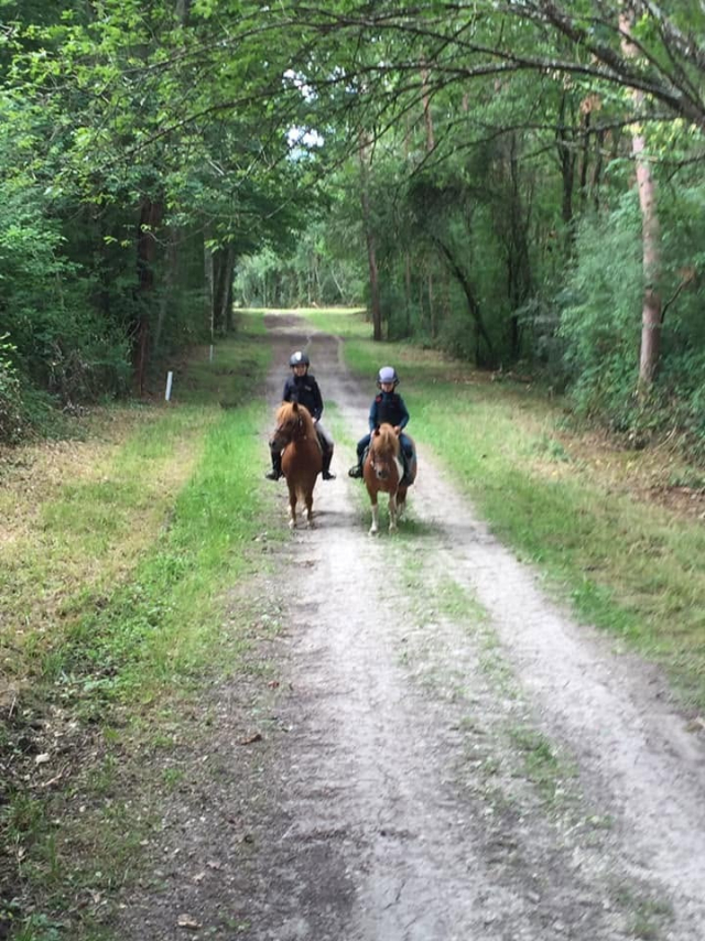  Paseo por un sendero forestal cerca de Chamoy 