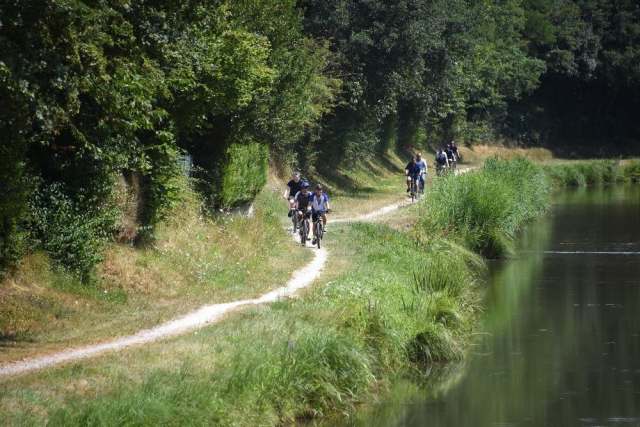  Un sendero forestal junto al agua 