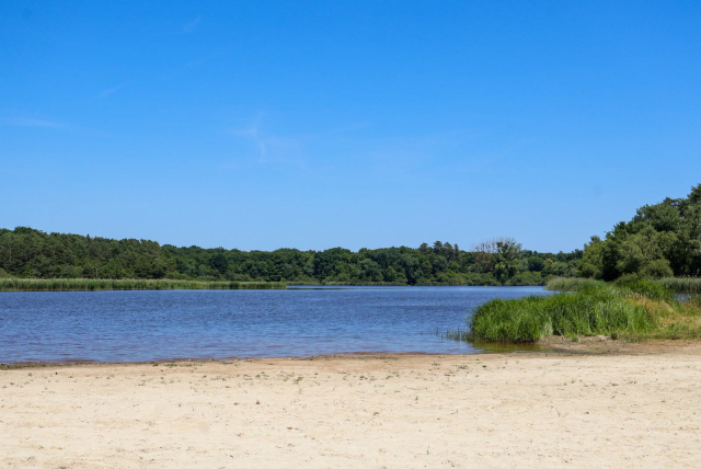  La playa de arena y el estanque 
