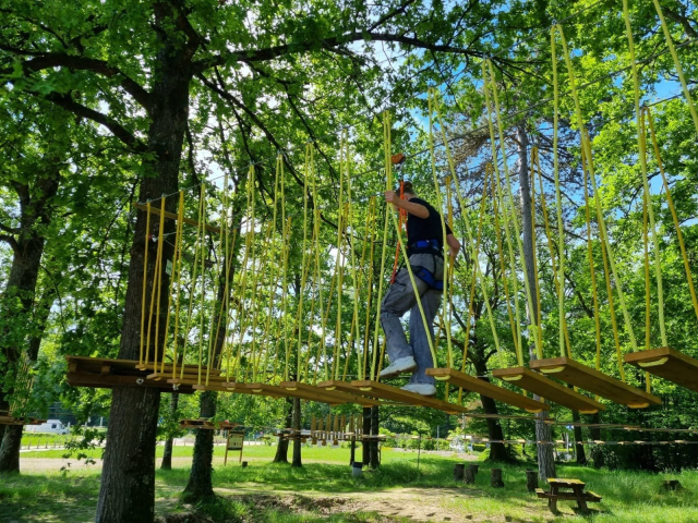 Un recorrido de aventura en las copas de los árboles entre los pinos 