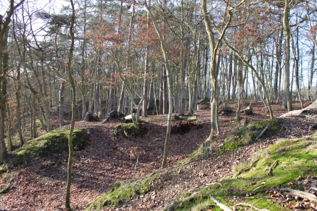 Parle del campo 