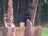 Gotcha en Abbeville 500 bolas