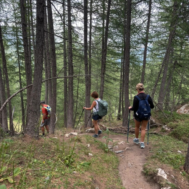  489815168_1213757327416050_498545243634434656_n 