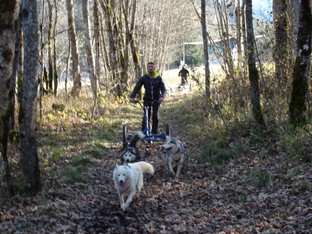 Continuamos nuestro viaje por el bosque 