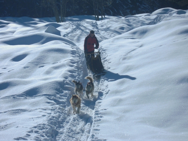  Conducción en trineo en Isère 