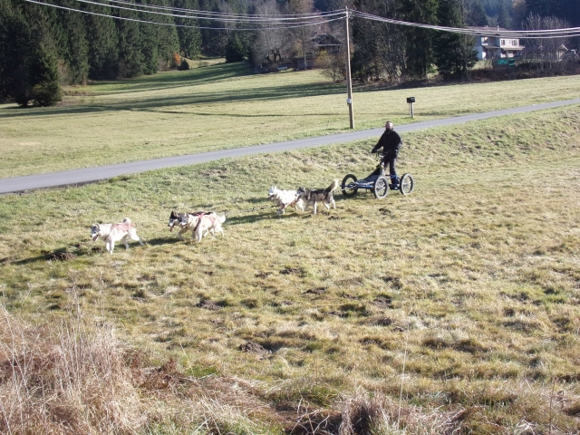  Manejar un carruaje para niños 