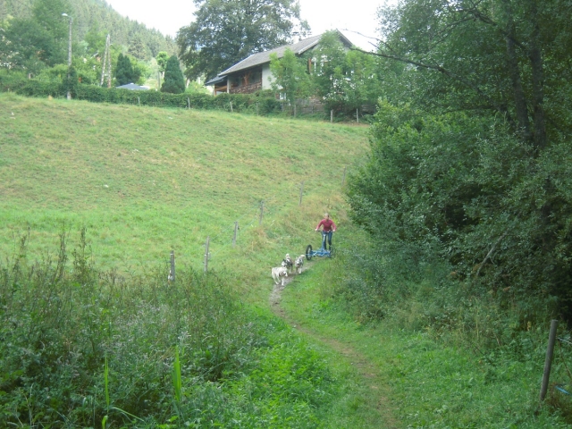  Recorrer el terreno de Isère manejando un carruaje