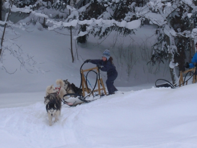  Viaje por las llanuras nevadas de Isère 