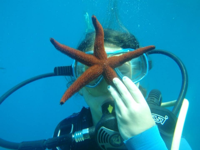  El buceador y su nuevo cuale 