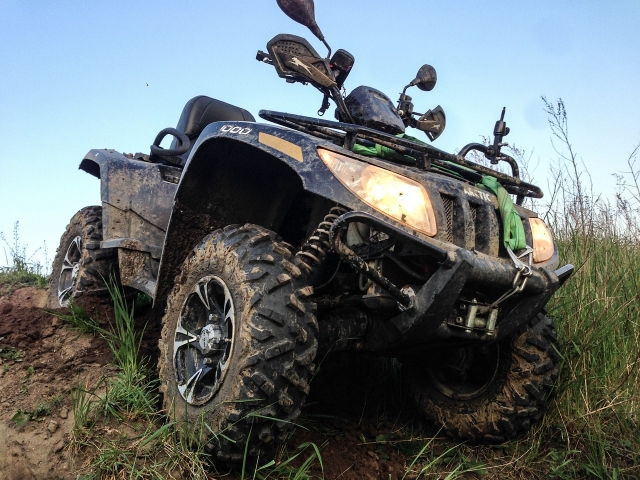  Descubrimientos únicos en quad