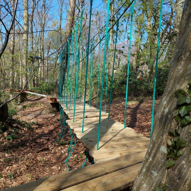  Diviértete manejando a través de obstáculos sencillos 