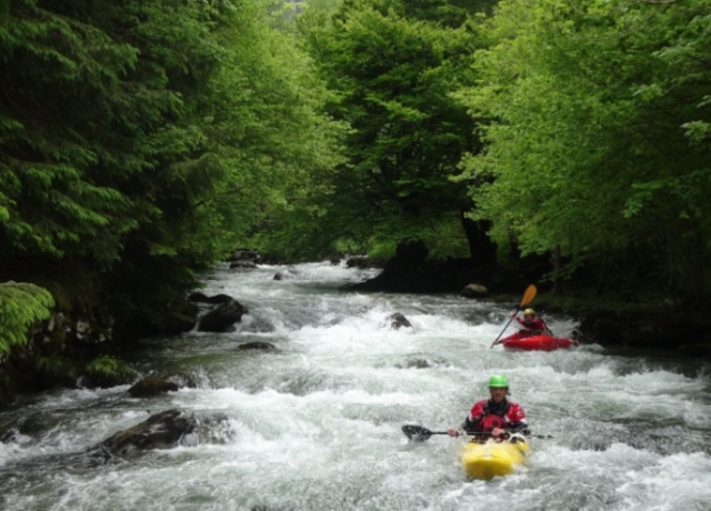 Participar en una excursión en canoa con un guía profesional
