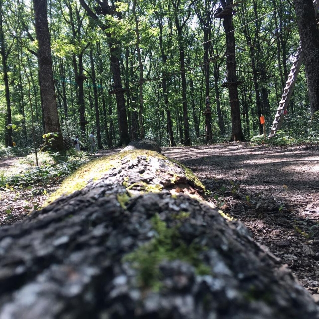  Curso de aventuras para niños 