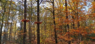 Curso de aventura en Yonne - 9 a 14 años