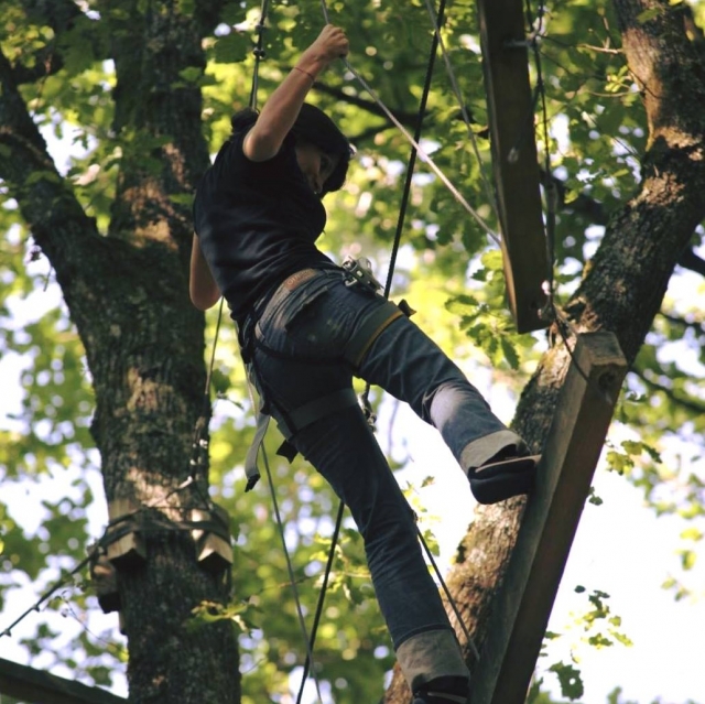 A partir de 15 años 