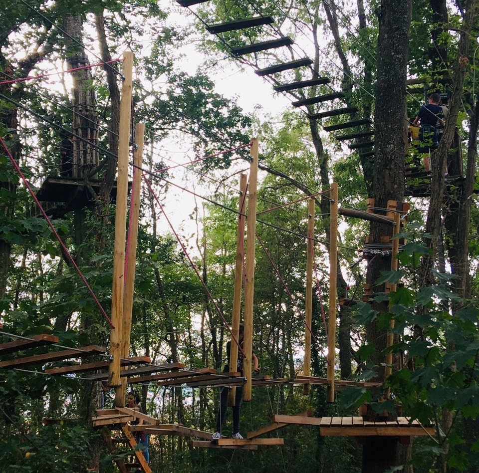  70 talleres en los árboles 