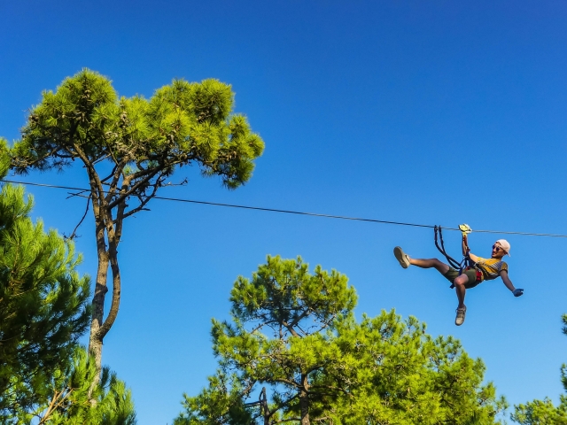  Disfrute de las vistas desde la tirolesa 