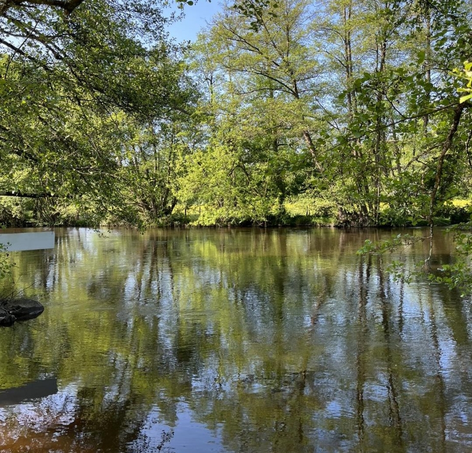  El hermoso río Cure 