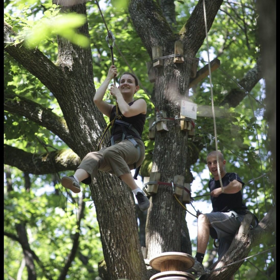  Adelante para la aventura entre los árboles 