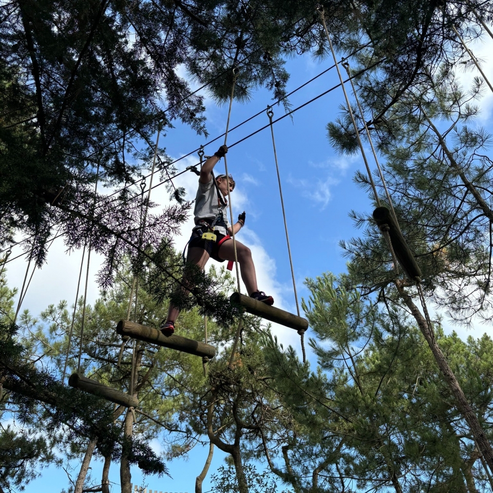  Adrenalina y emoción en este recorrido de aventuras en las copas de los árboles 