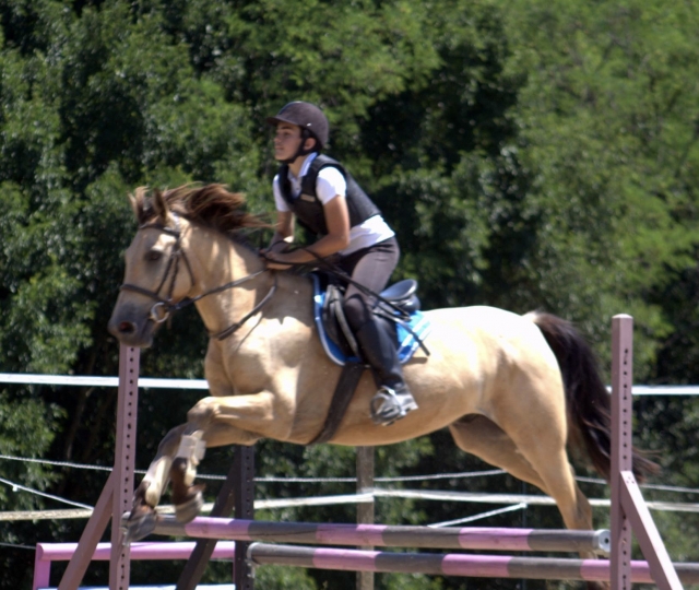 Paseo corto a caballo