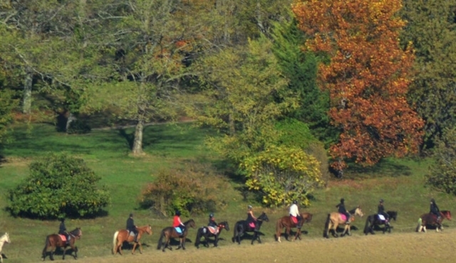 Pbaños a caballo en Clairac