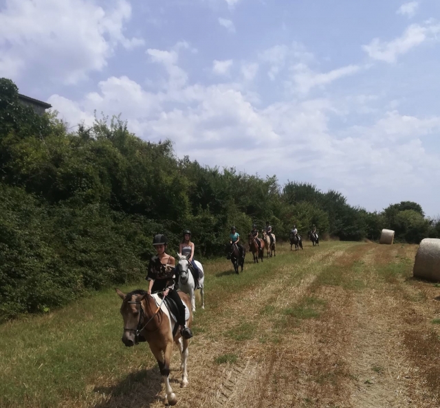 Descubrimiento de los caballos y los paisajes de Clairac 