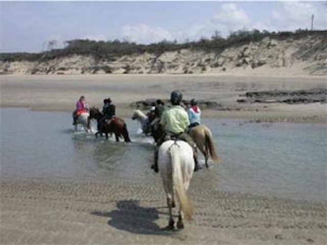 Pbaños a caballo en la ría Pbaños a caballo en la ría