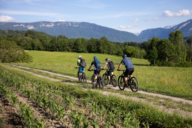 Haga camicrema desde Alta Saboya 