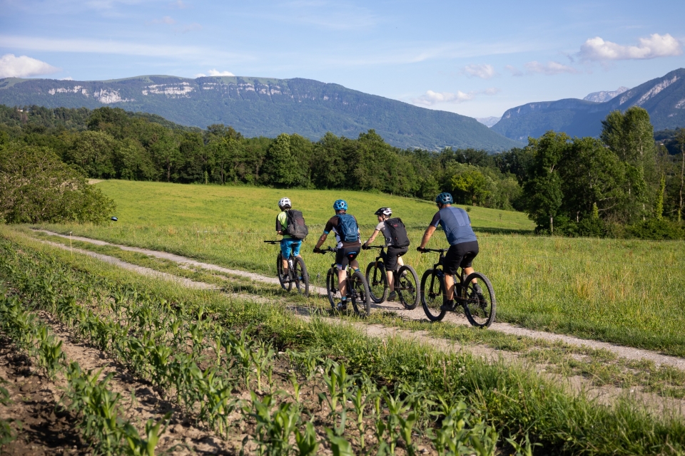 Haga camicrema desde Alta Saboya 