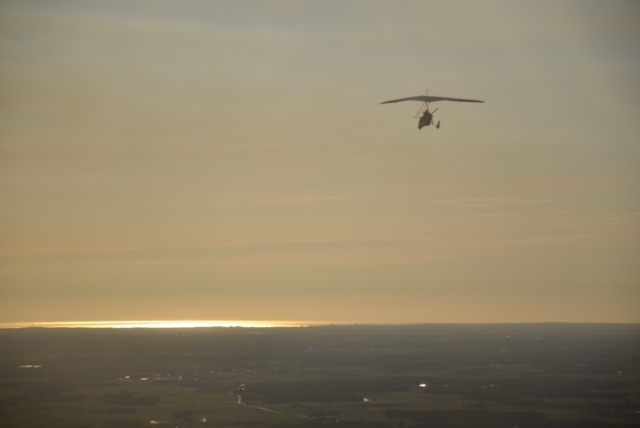  Ulm en el estuario de la Gironda