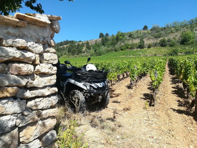  Descubrimiento del vino en cuatrimoto 