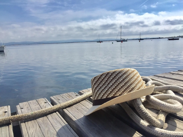  Pasa un día maravilloso en Giens 