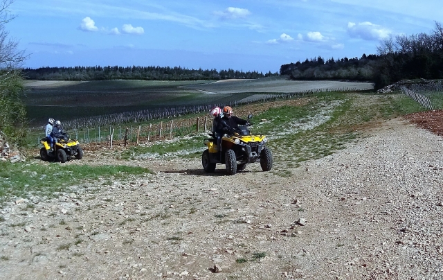  Randonnée en cuatrimoto entre les vignes de Couches 