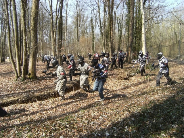 el bosque de ourcadia 