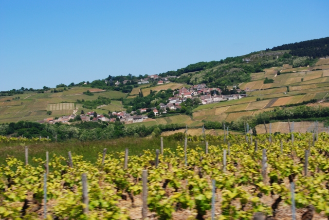  Los viñedos de Borgoña 