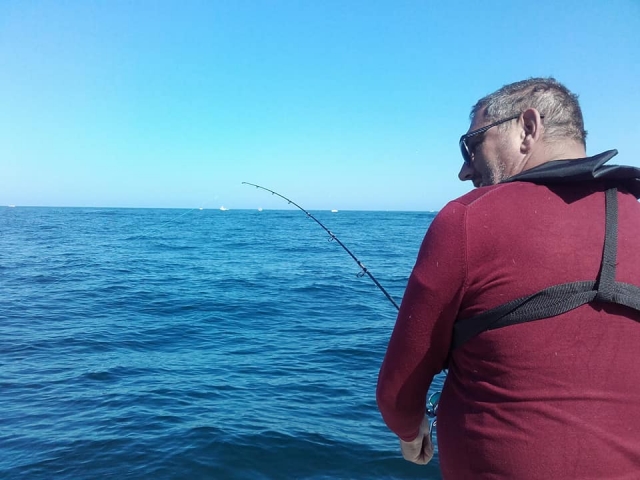  Pesca sin mamarrar 